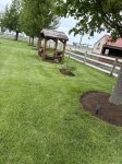 landscaping