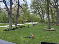 landscaping