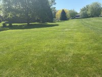 lawn care